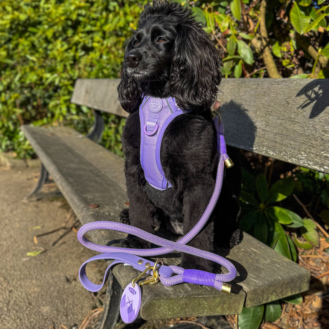Pawsome Poop Pocket - Walkies Ready® - Lavender Lilac