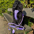 Pawsome Poop Pocket - Walkies Ready® - Lavender Lilac