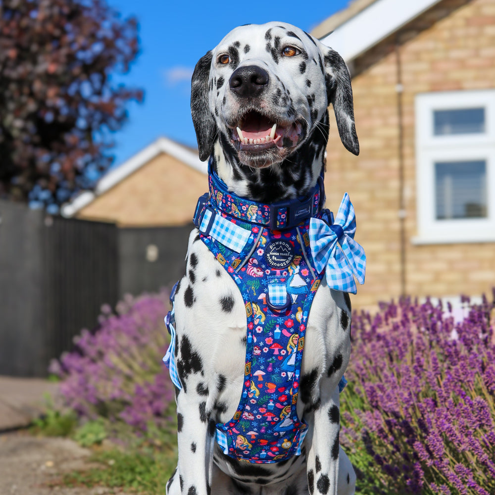 Sailor Bow - Alice In Wonderland