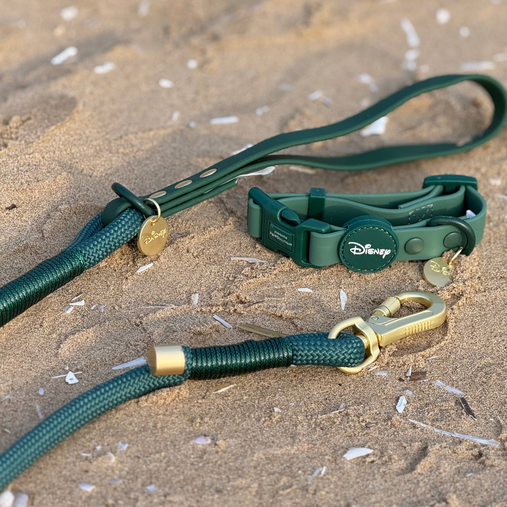 Disney© 4ft Rope Lead - Jungle Book