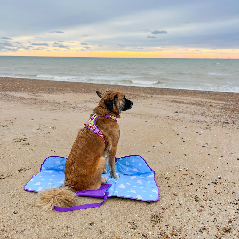 Disney© Travel Mat - Buzz Lightyear