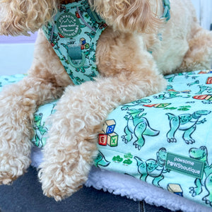 Disney© Dog Blanket - Rex