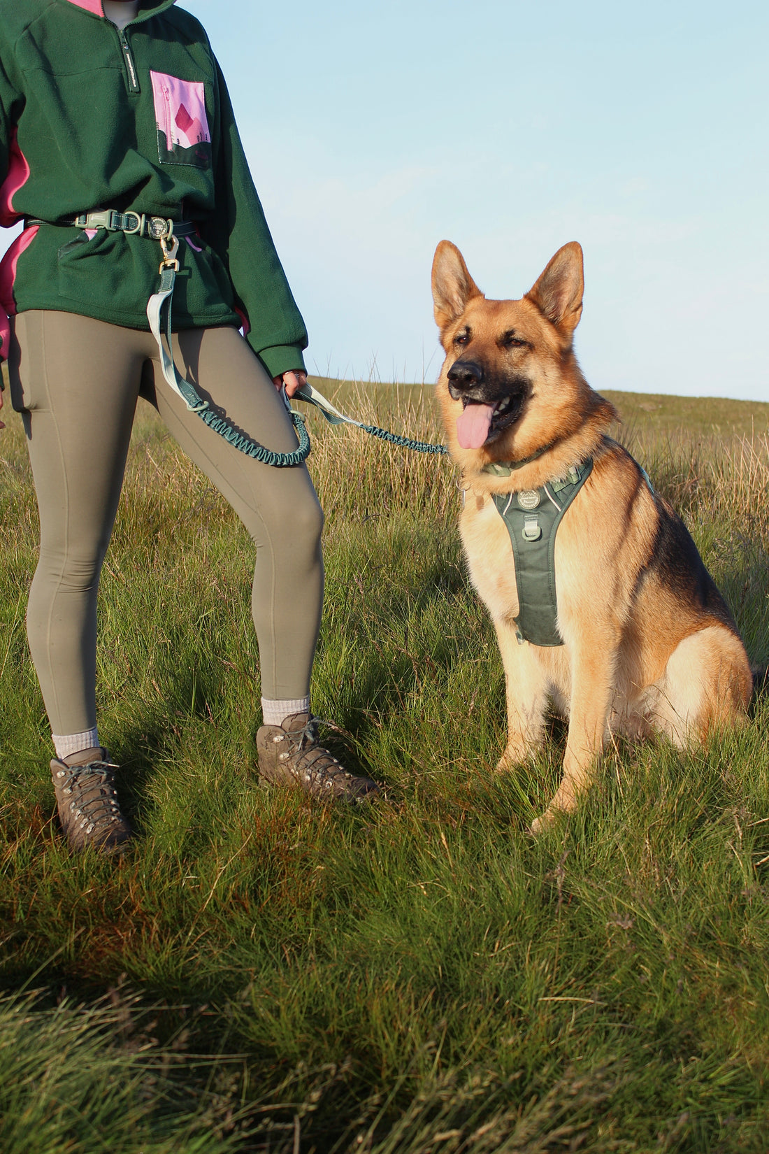 Handsfree Lead - Walkies Ready® Forest Green