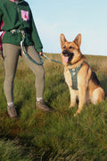 Handsfree Lead - Walkies Ready® Forest Green