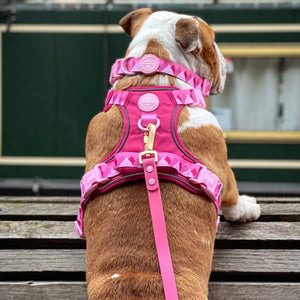 4ft Waterproof Lead - Walkies Ready® Raspberry Pink