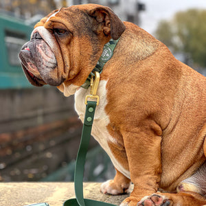 Poo Bag Holder - Walkies Ready® Forest Green