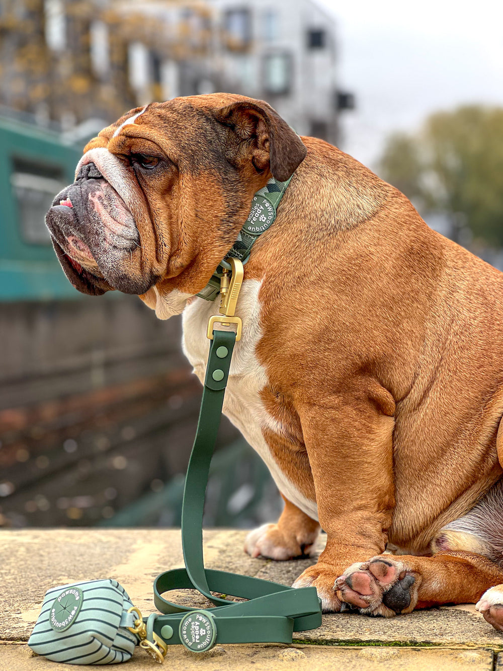 4ft Waterproof Lead - Walkies Ready® Forest Green