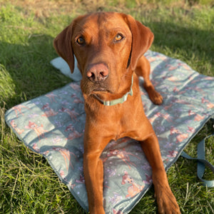 Disney© Travel Mat - Bambi + Thumper