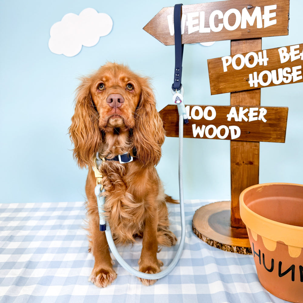 Disney© 4ft Rope Lead - Eeyore - Baby Blue and Navy