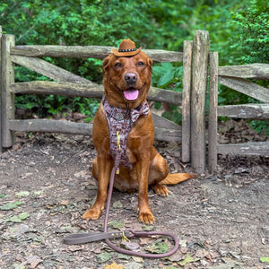 4ft Rope Lead - Brown