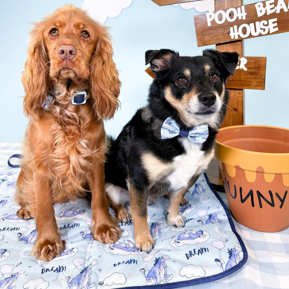 Disney© Travel Mat - Eeyore