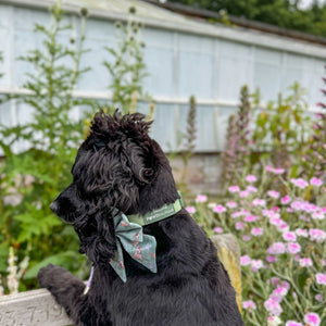 Waterproof Collar - Green