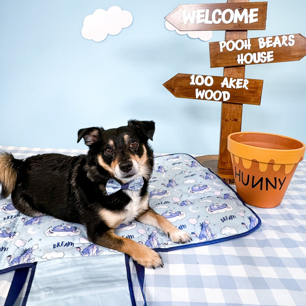 Disney© Travel Mat - Eeyore