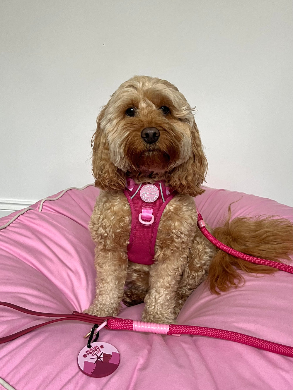 4ft Rope Lead - Walkies Ready® Raspberry Pink