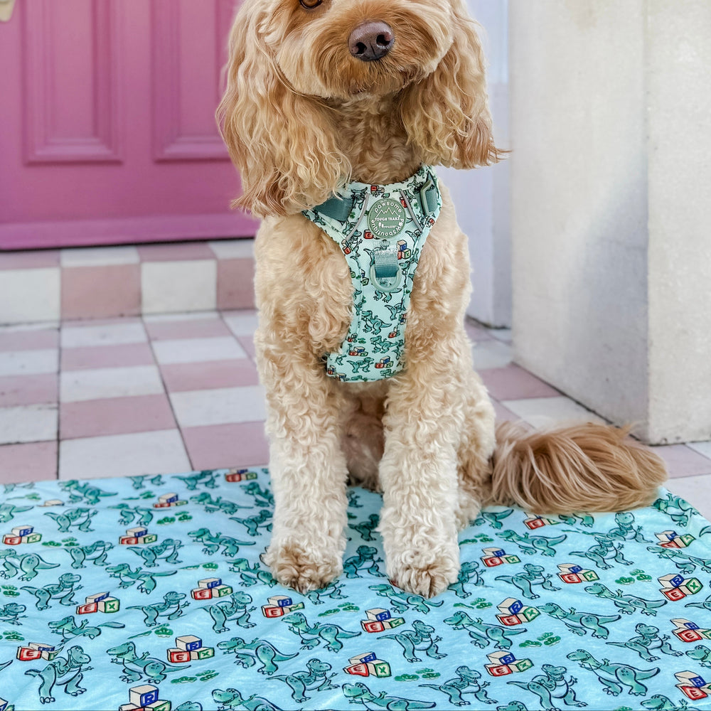 Disney© Dog Blanket - Rex