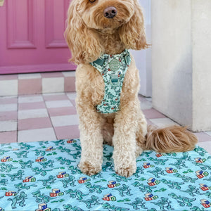 Disney© Dog Blanket - Rex