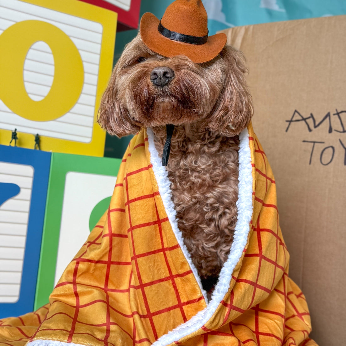 Disney© Dog Blanket - Woody