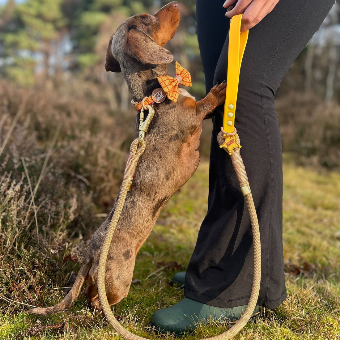 Disney© 4ft Rope Lead - Woody