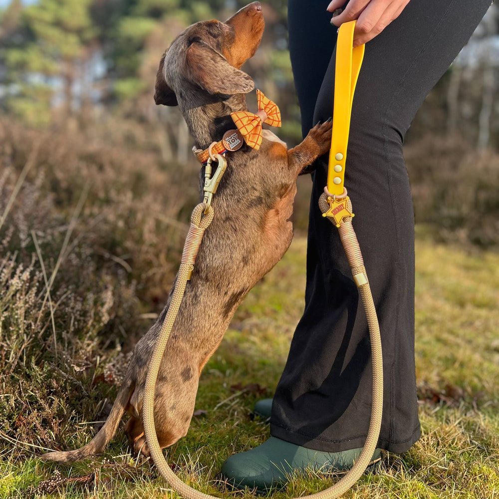 Disney© 4ft Rope Lead - Woody