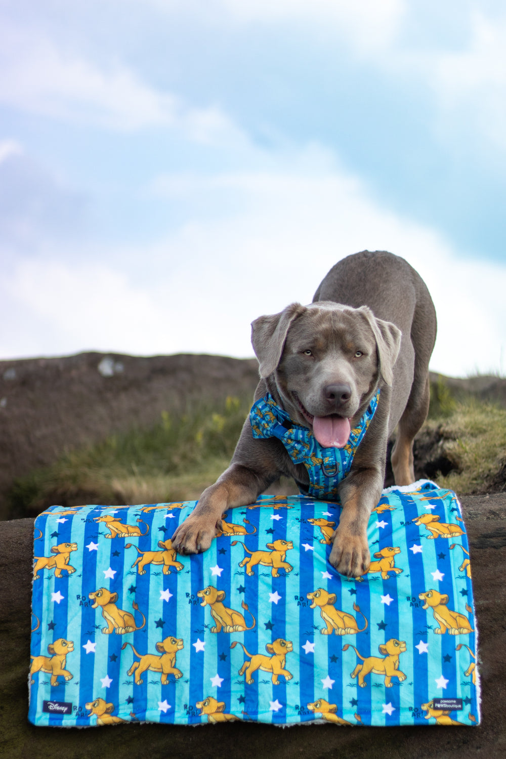 Disney© Dog Blanket - Simba