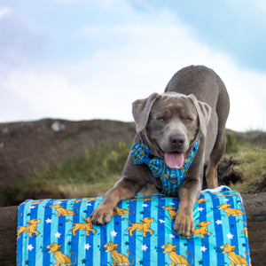 Disney© Dog Blanket - Simba