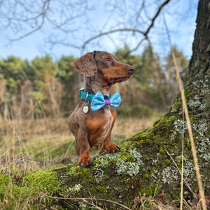 Disney© Bow Tie - Buzz Lightyear