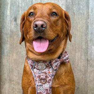 Bow Tie - Cowboy