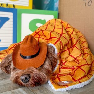 Disney© Dog Blanket - Woody