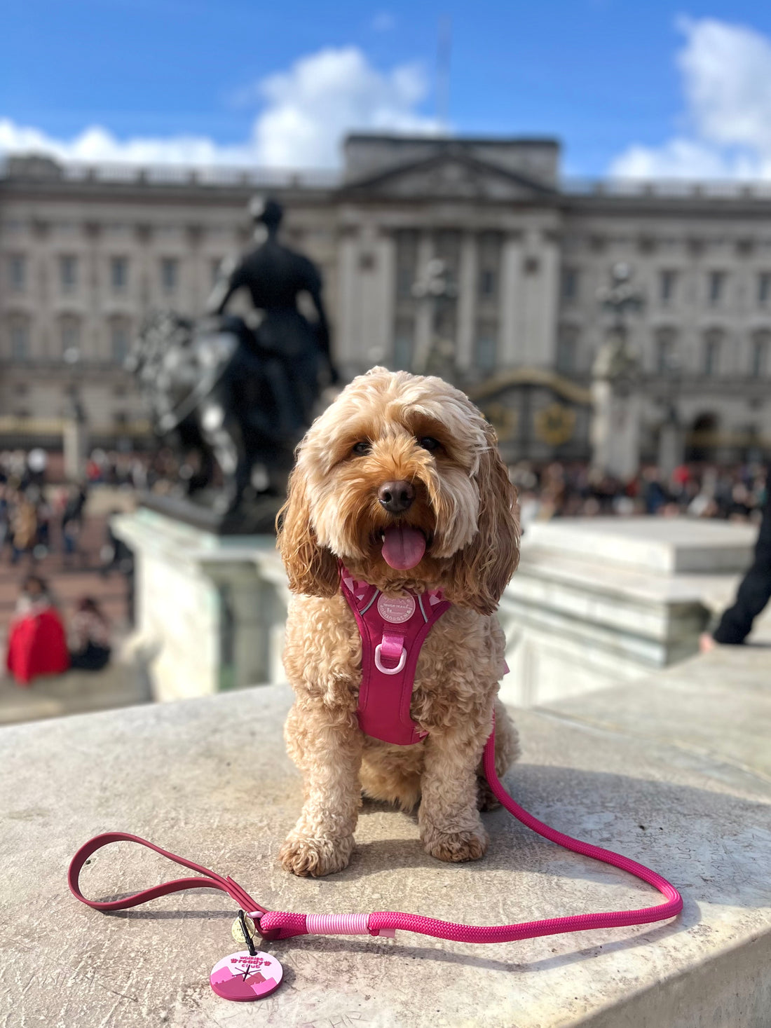 4ft Rope Lead - Walkies Ready® Raspberry Pink