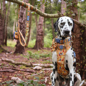 Poo Bag Holder - Celestial Spirit