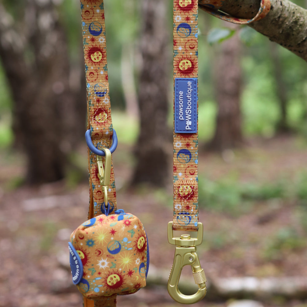 Lead - Celestial Spirit