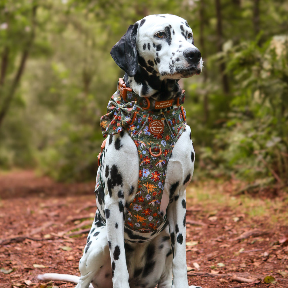 Sailor Bow - Rust & Bloom