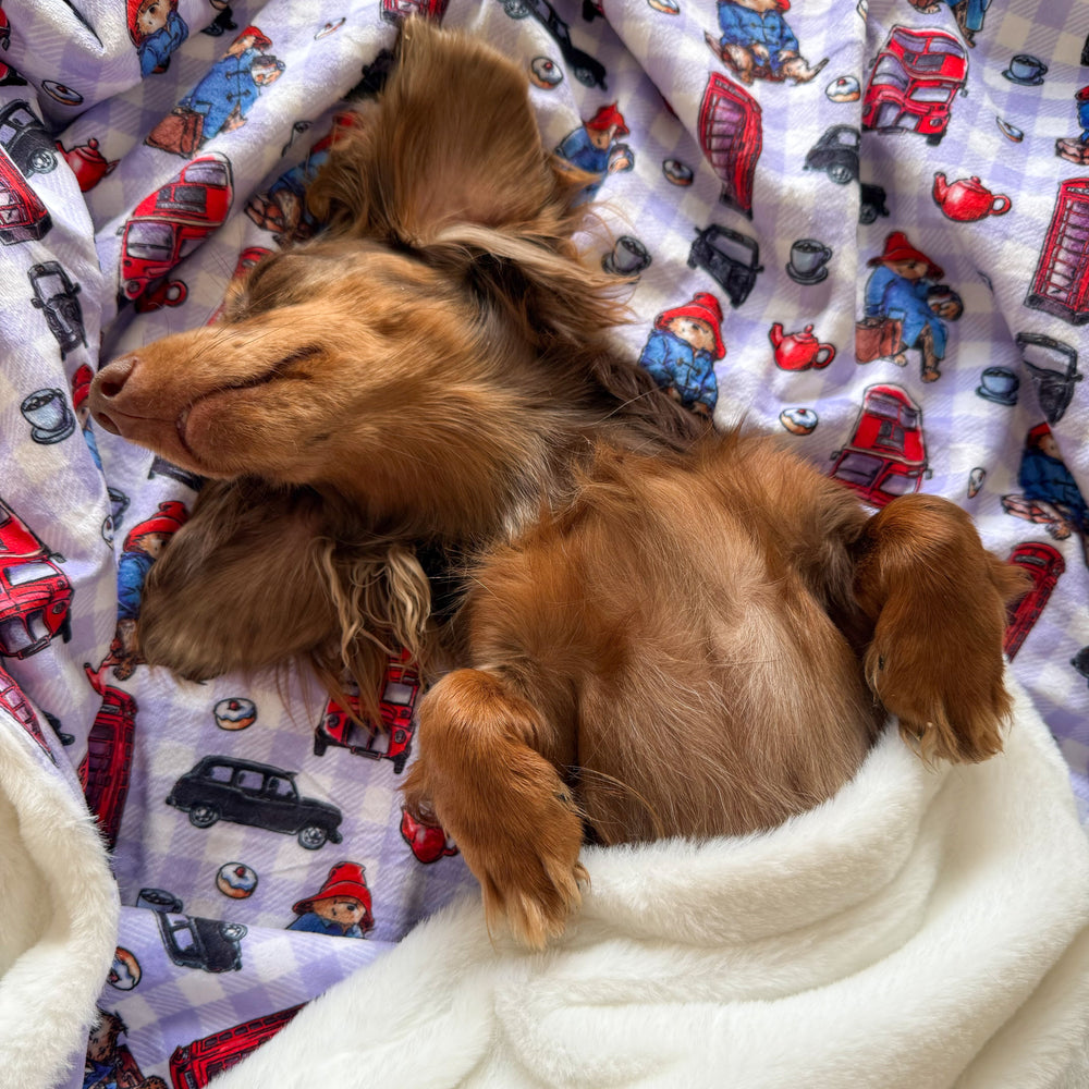 Paddington™ Dog Blanket - London