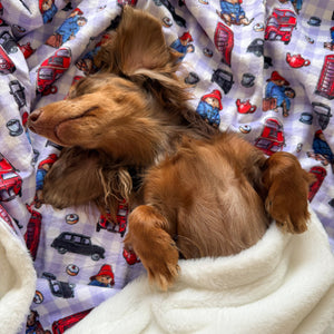 Paddington™ Dog Blanket - London