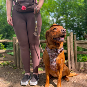 4ft Rope Lead - Brown