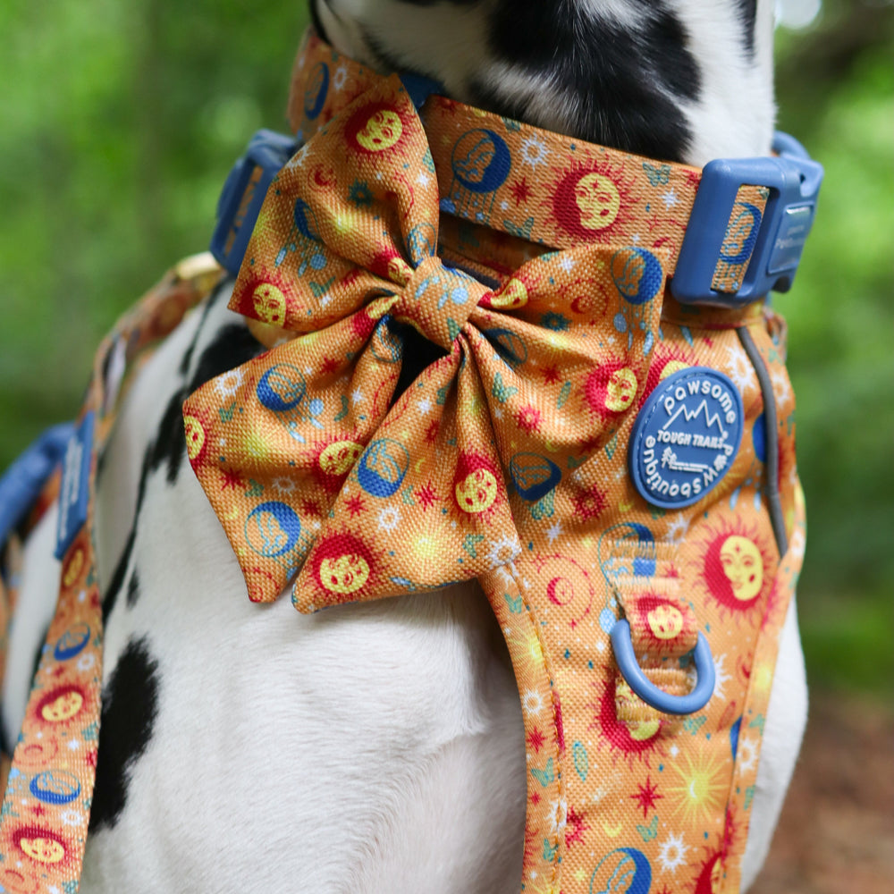 Sailor Bow - Celestial Spirit