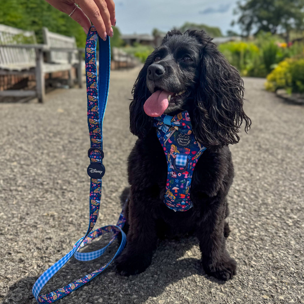 Disney© Lead - Alice In Wonderland