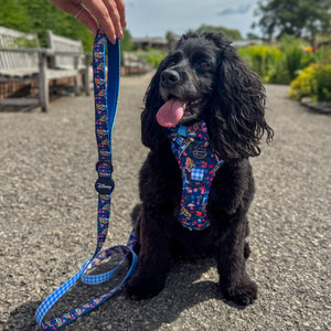 Disney© Lead - Alice In Wonderland