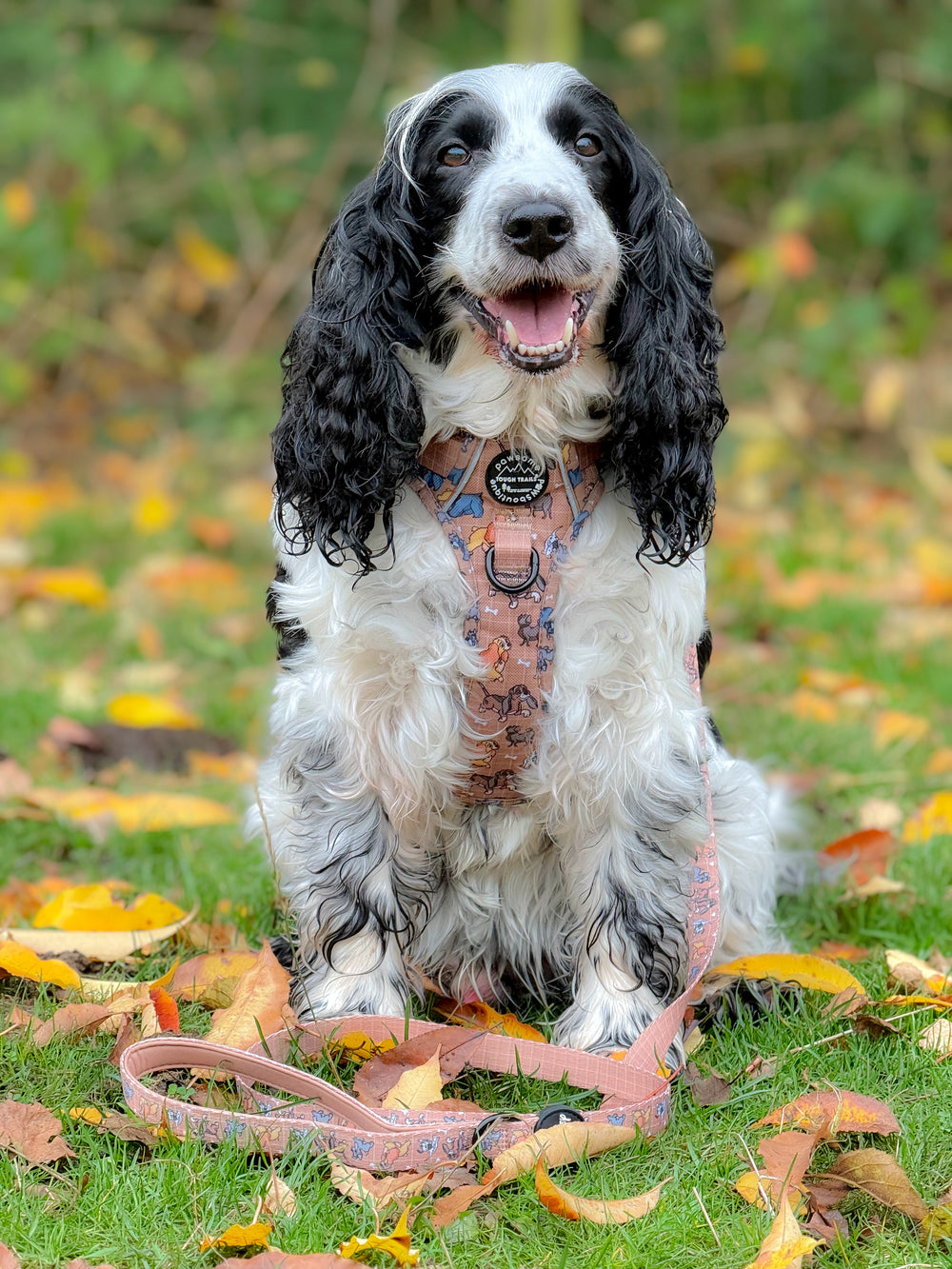 Disney© Lead - Disney Dogs