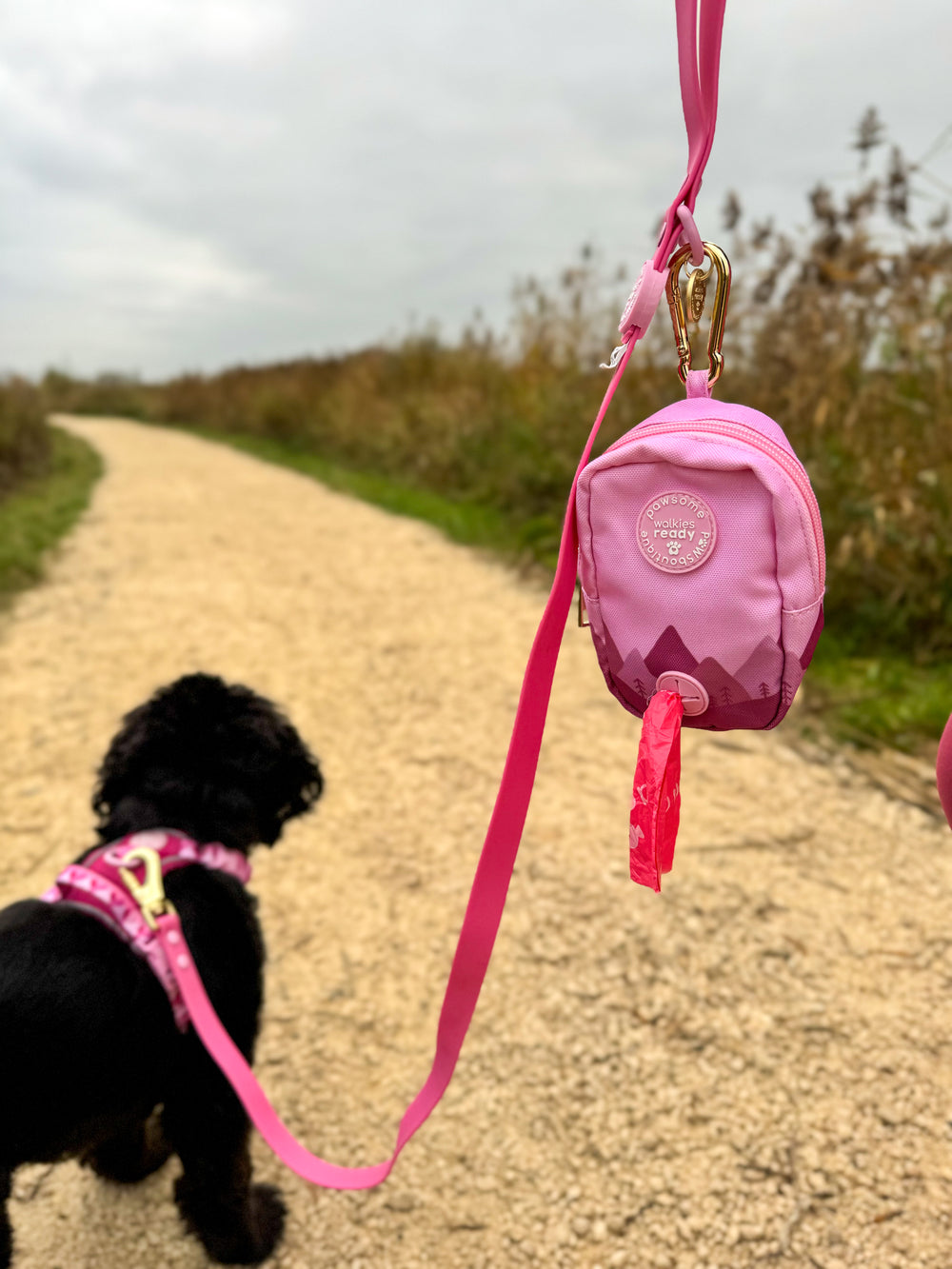 Treat + Go Bag - Walkies Ready® Raspberry Pink