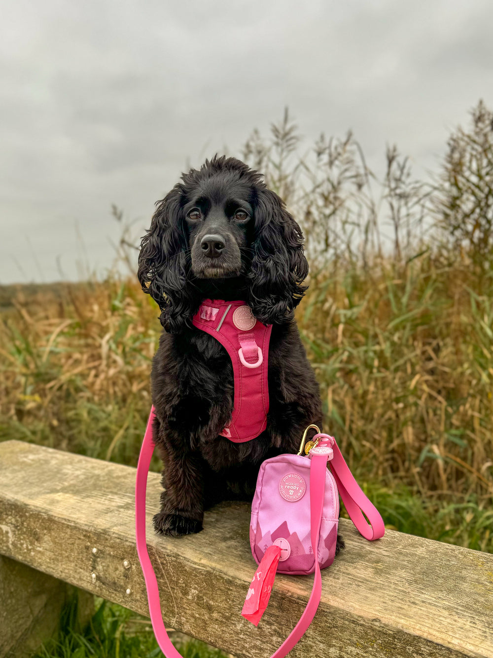 Treat + Go Bag - Walkies Ready® Raspberry Pink