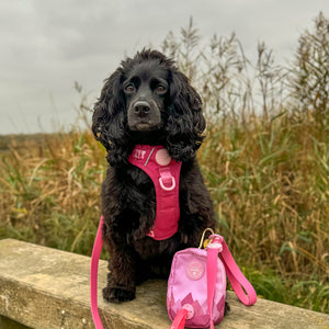 Treat + Go Bag - Walkies Ready® Raspberry Pink