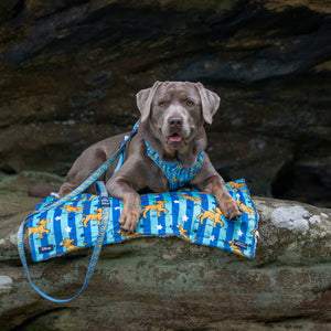 Disney© Dog Blanket - Simba