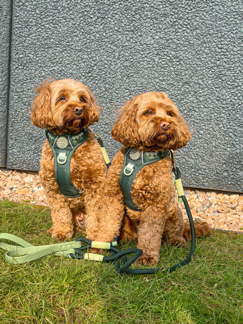 4ft Rope Lead - Walkies Ready® Forest Green