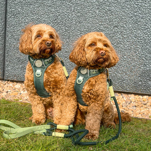 4ft Rope Lead - Walkies Ready® Forest Green