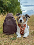 Sling Backpack - Walkies Ready® Brown