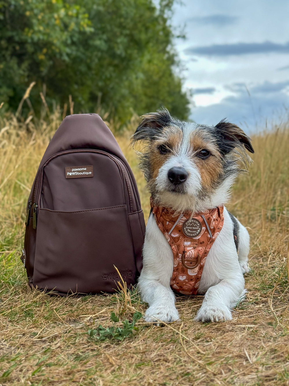 Sling Backpack - Walkies Ready® Brown