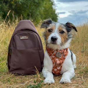 Sling Backpack - Walkies Ready® Brown