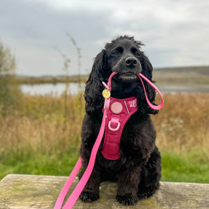 4ft Waterproof Lead - Walkies Ready® Raspberry Pink