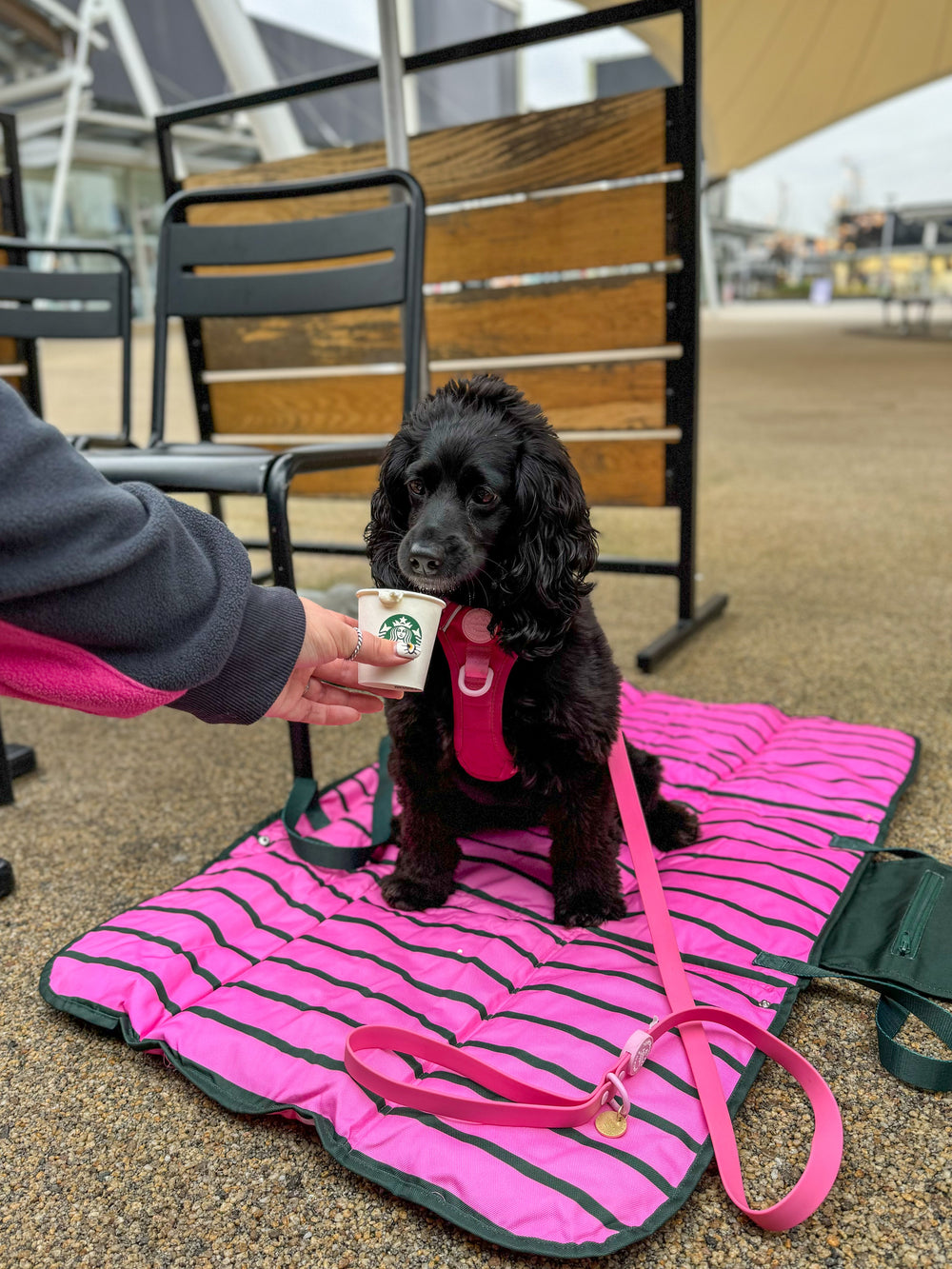 Travel Mat - Walkies Ready®